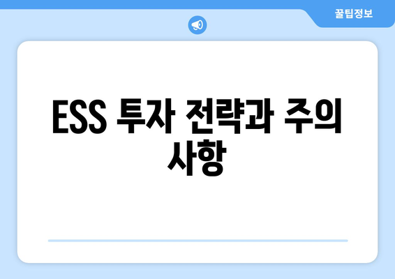 ESS 투자 전략과 주의 사항