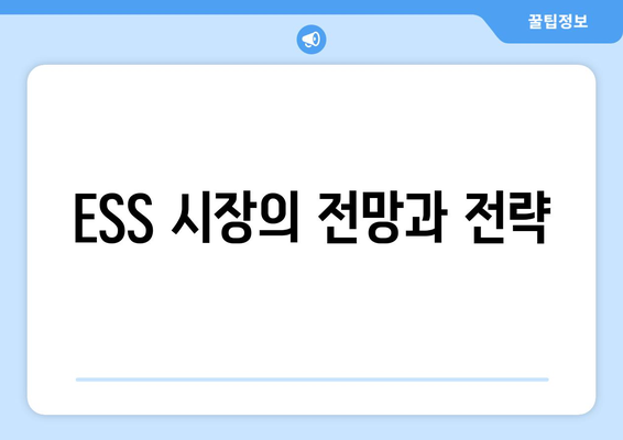 ESS 시장의 전망과 전략