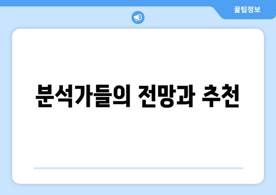 분석가들의 전망과 추천