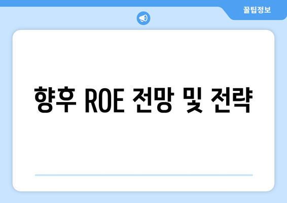 향후 ROE 전망 및 전략