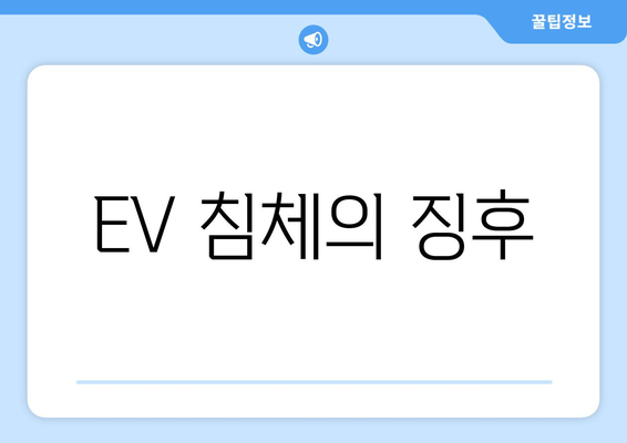 EV 침체의 징후