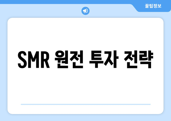 SMR 원전 투자 전략