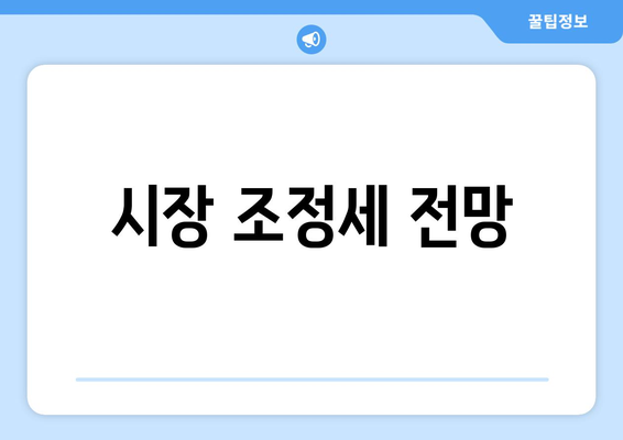 시장 조정세 전망