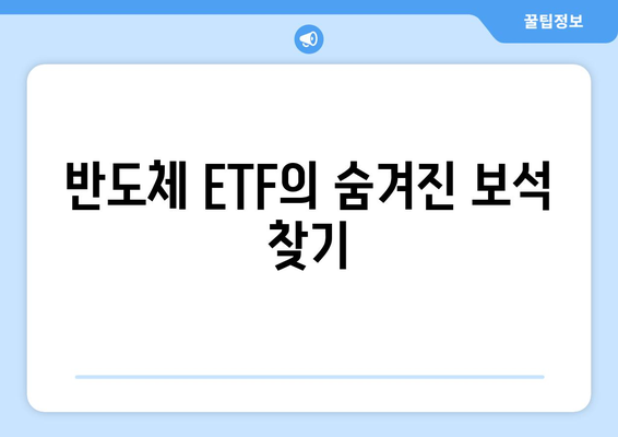 반도체 ETF의 숨겨진 보석 찾기