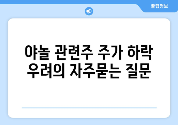 야놀 관련주 주가 하락 우려