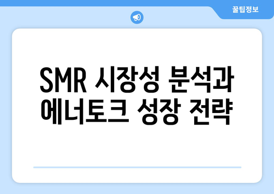 SMR 시장성 분석과 에너토크 성장 전략