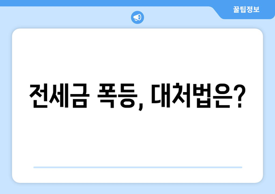 전세금 폭등, 대처법은?