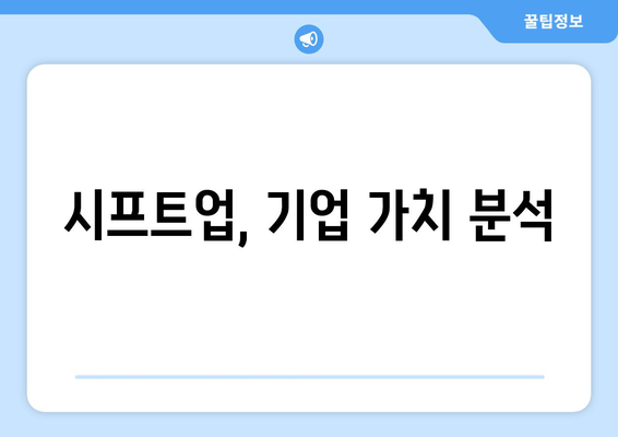 시프트업, 기업 가치 분석