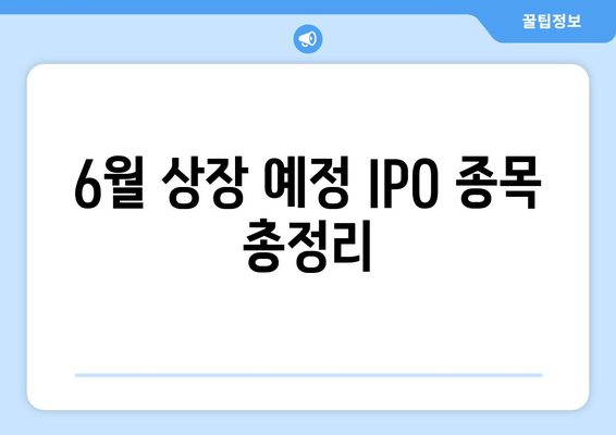 6월 상장 예정 IPO 종목 총정리