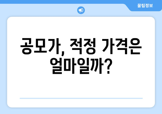 공모가, 적정 가격은 얼마일까?