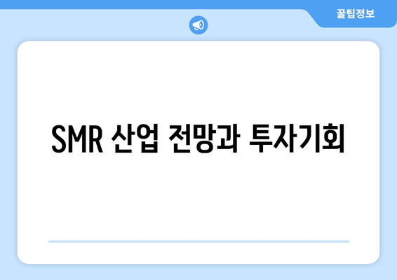 SMR 산업 전망과 투자기회