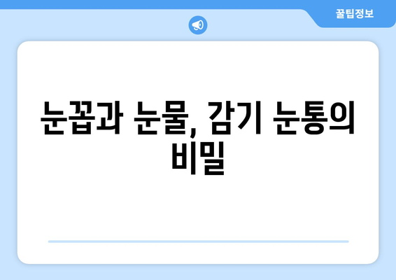 감기 눈통, 오해는 멈춰! 진실을 파헤쳐 보세요 | 눈꼽, 눈물, 증상, 치료, 예방