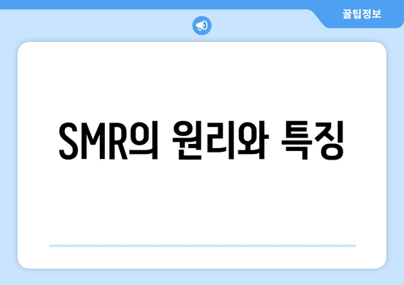 SMR의 원리와 특징