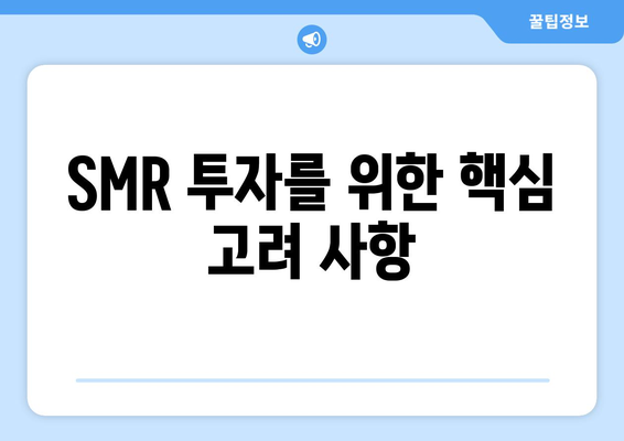 SMR 투자를 위한 핵심 고려 사항