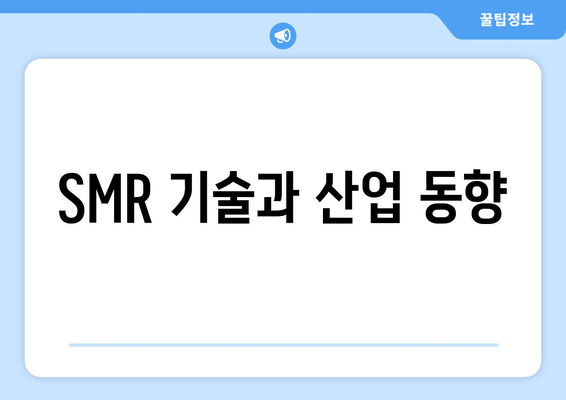 SMR 기술과 산업 동향