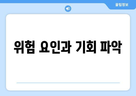 위험 요인과 기회 파악