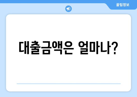 대출금액은 얼마나?