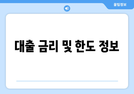 대출 금리 및 한도 정보