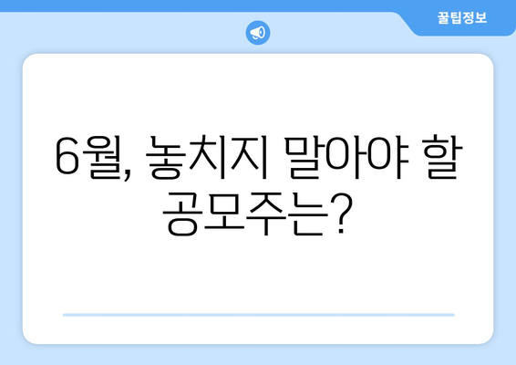 6월, 놓치지 말아야 할 공모주는?