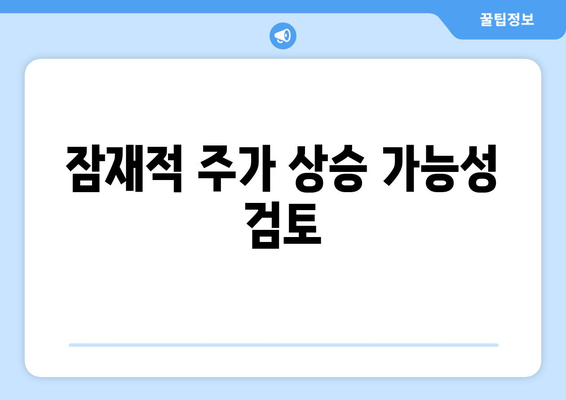 잠재적 주가 상승 가능성 검토