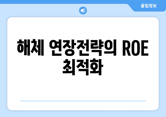 해체 연장전략의 ROE 최적화