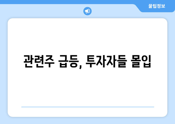 관련주 급등, 투자자들 몰입