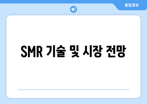 SMR 기술 및 시장 전망