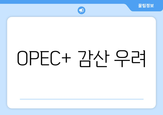 OPEC+ 감산 우려