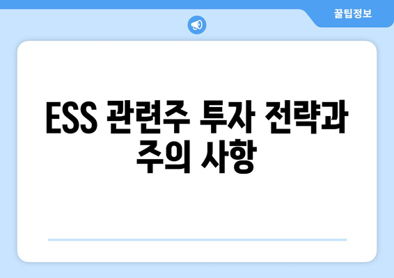 ESS 관련주 투자 전략과 주의 사항