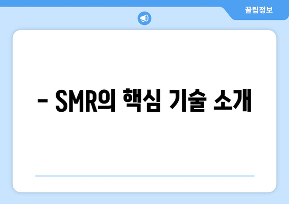 - SMR의 핵심 기술 소개