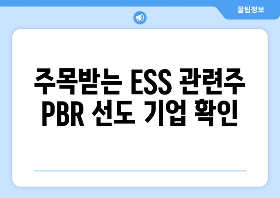 주목받는 ESS 관련주 PBR 선도 기업 확인