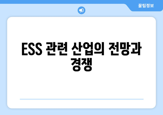 ESS 관련 산업의 전망과 경쟁