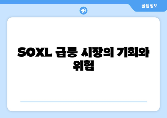 SOXL 급등 시장의 기회와 위험