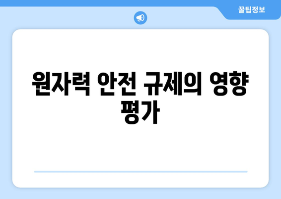 원자력 안전 규제의 영향 평가