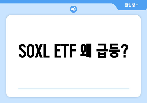 SOXL ETF 왜 급등?