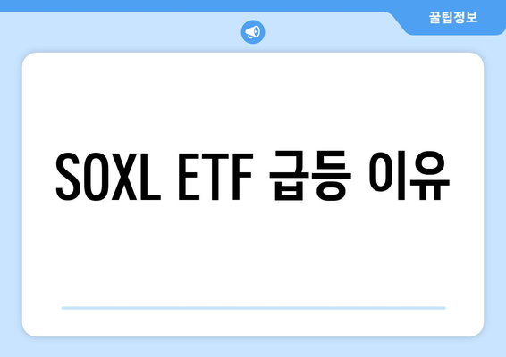 SOXL ETF 급등 이유