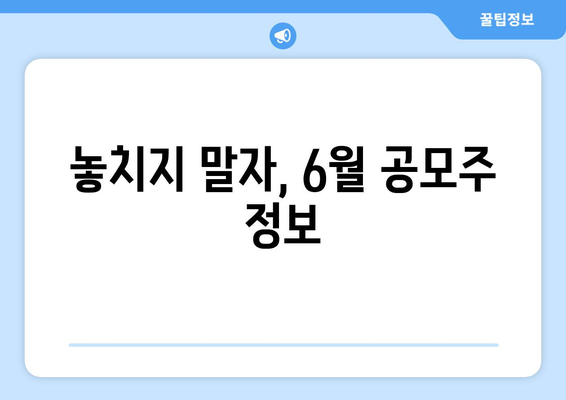 놓치지 말자, 6월 공모주 정보