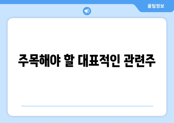 주목해야 할 대표적인 관련주