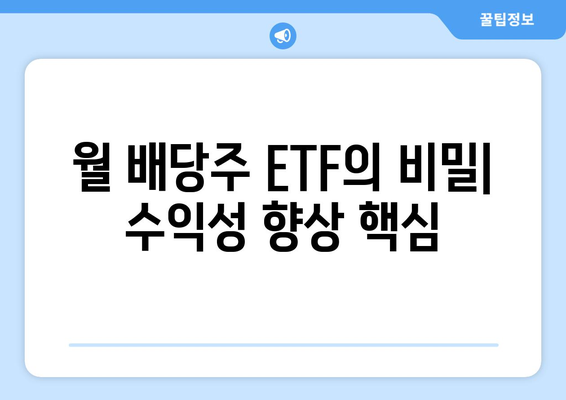 월 배당주 ETF의 비밀| 수익성 향상 핵심