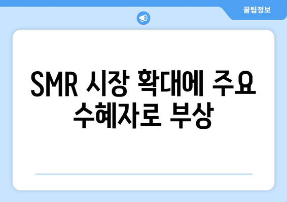 SMR 시장 확대에 주요 수혜자로 부상