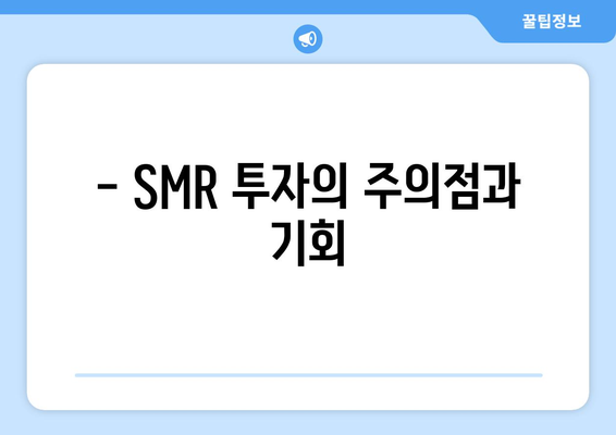 - SMR 투자의 주의점과 기회