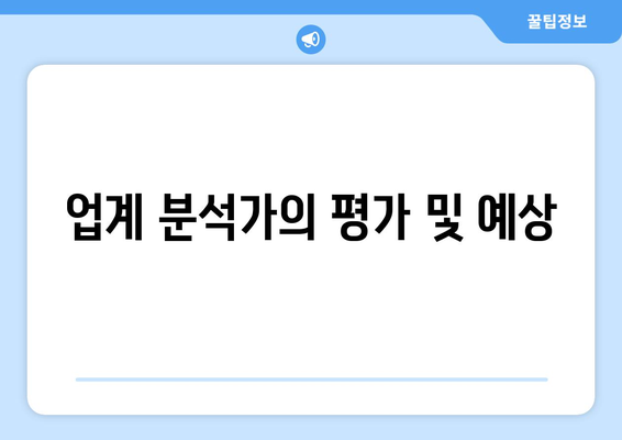 업계 분석가의 평가 및 예상