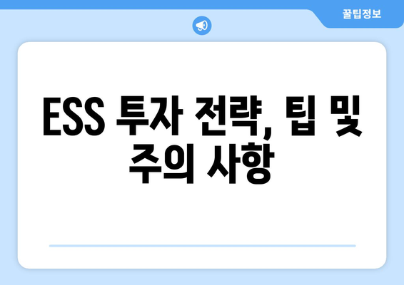 ESS 투자 전략, 팁 및 주의 사항