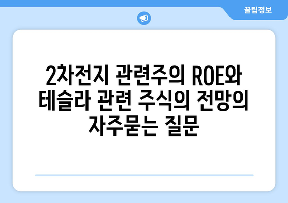 2차전지 관련주의 ROE와 테슬라 관련 주식의 전망