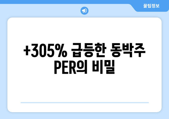 +305% 급등한 동박주 PER의 비밀