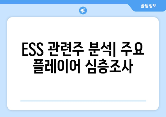 ESS 관련주 분석| 주요 플레이어 심층조사