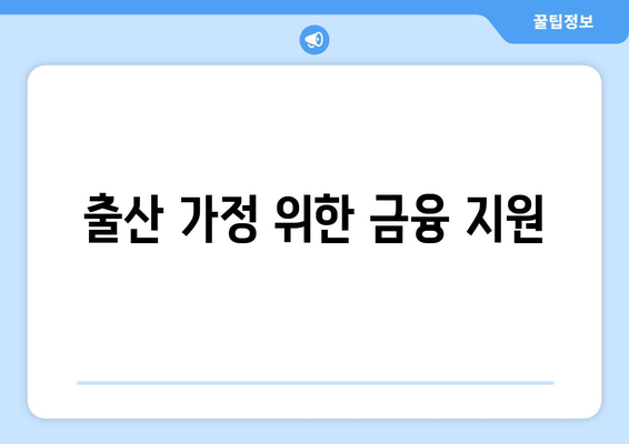 출산 가정 위한 금융 지원