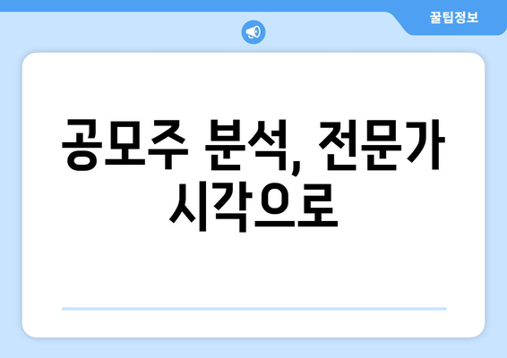 공모주 분석, 전문가 시각으로