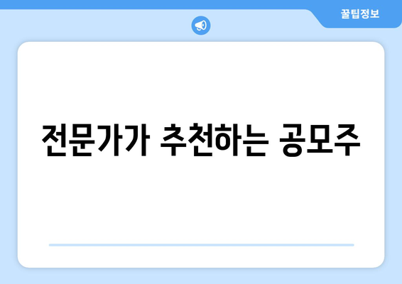 전문가가 추천하는 공모주