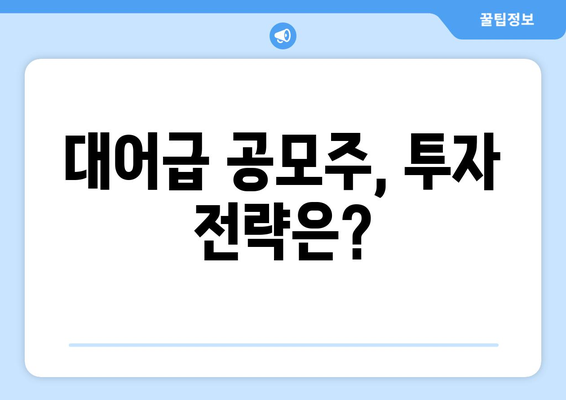 대어급 공모주, 투자 전략은?